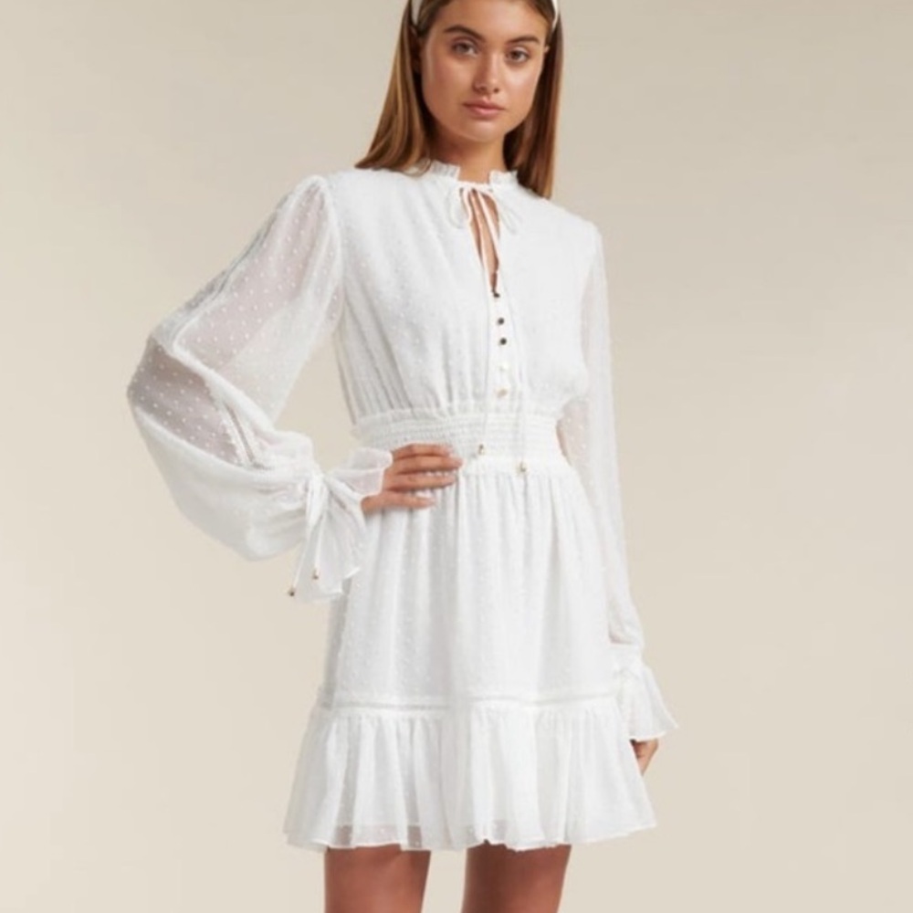 EVER NEW EVERNEW Kacey Long Sleeve Swiss Dot Dress in Size 4